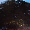 DSC00726