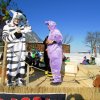 IMG_0219_800x600