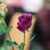 img_8296