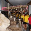 dsc00561-min